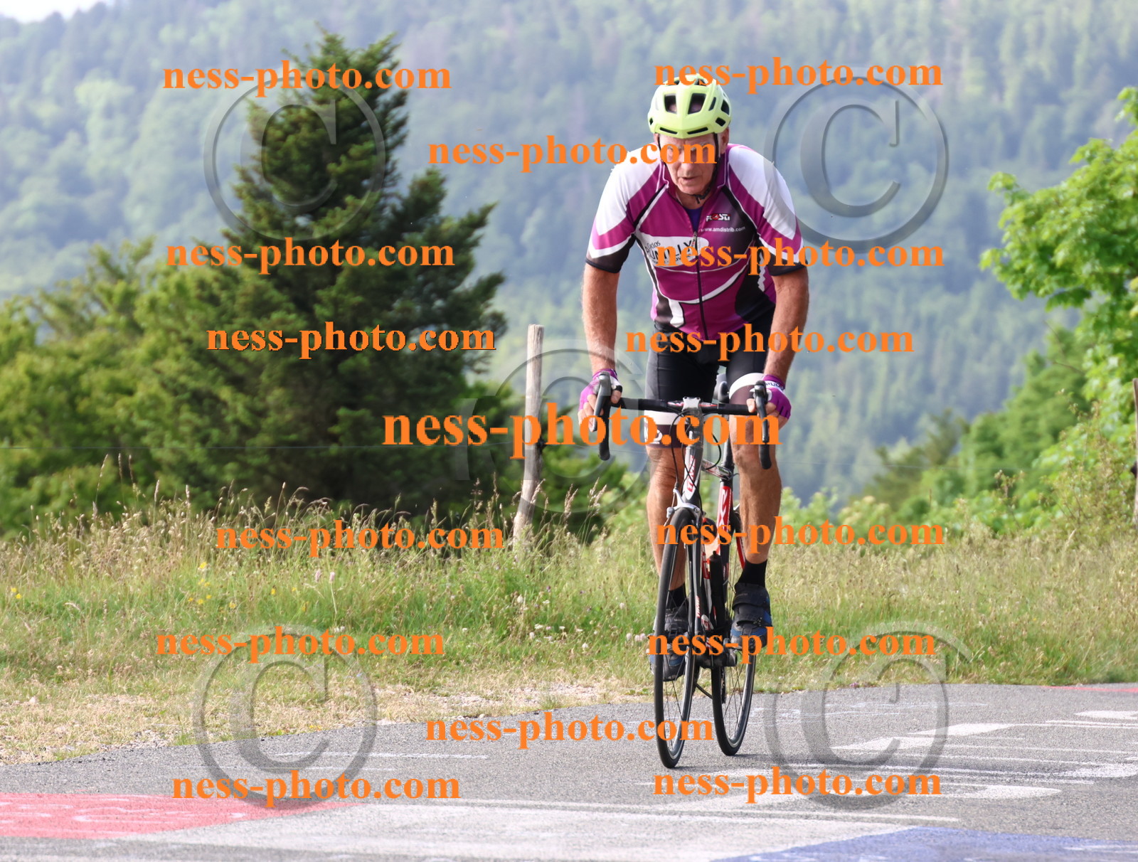 Col du grand Colombier (91).JPG