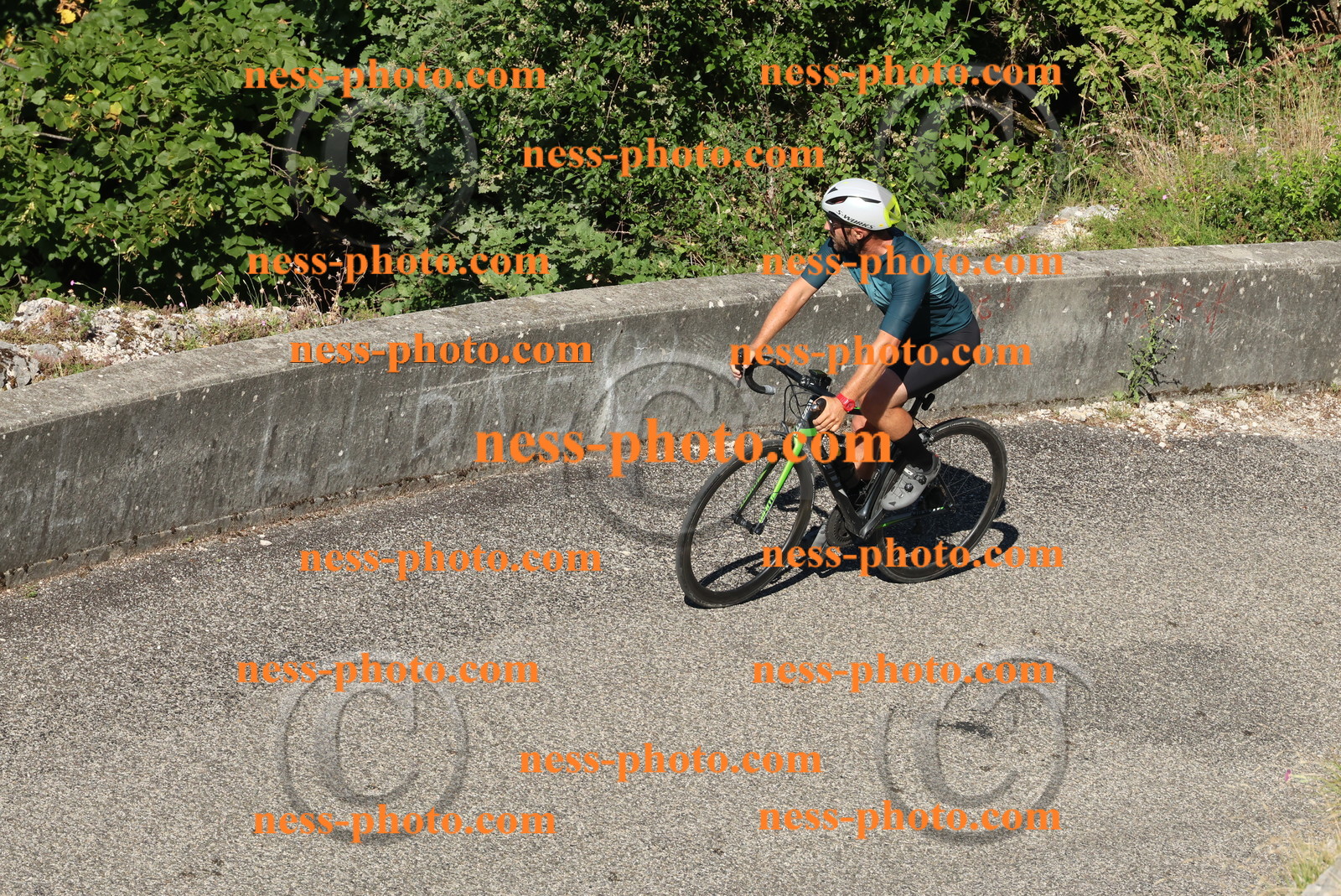 Col du Grand Colombier (141).JPG