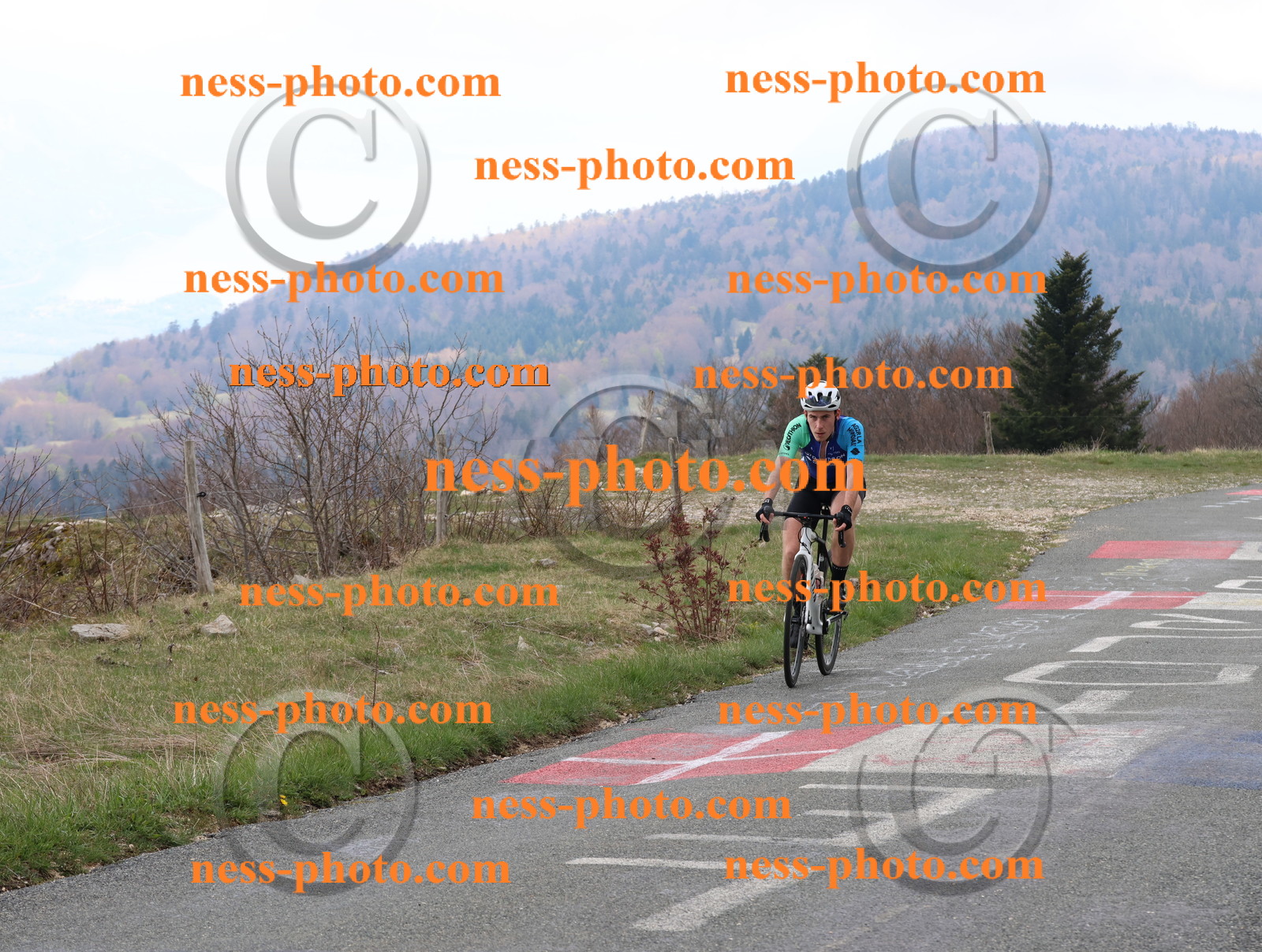 Col du Grand Colombier (133).JPG