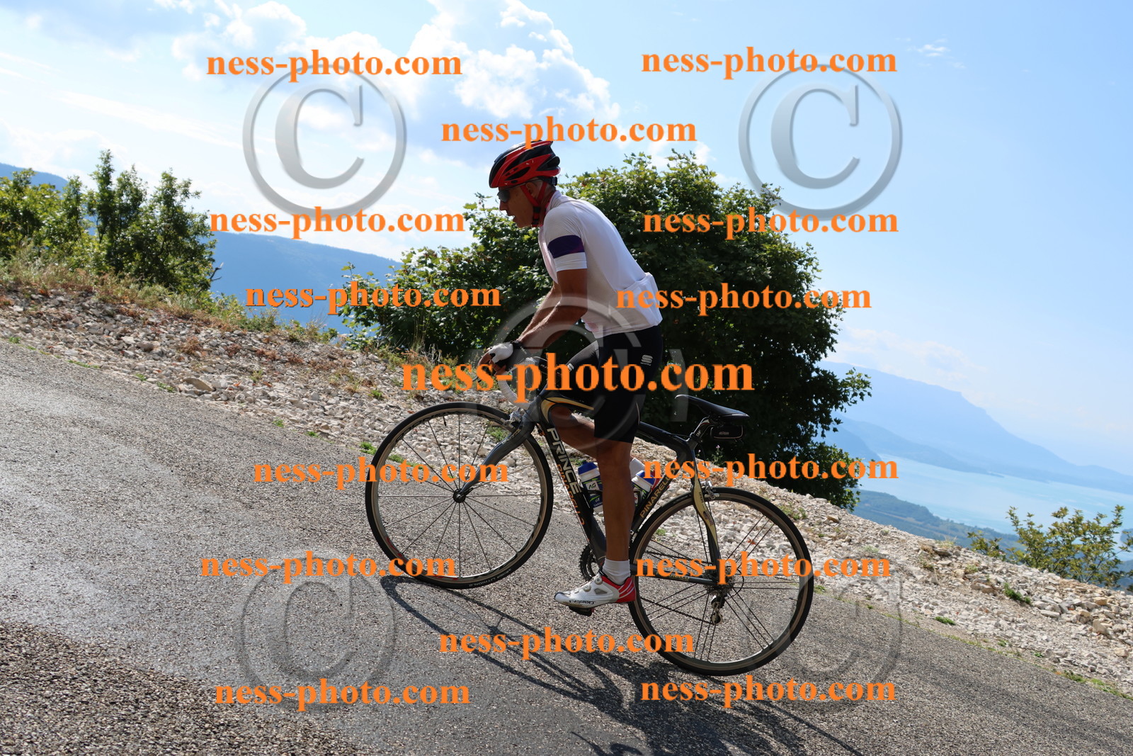 Col du Grand Colombier (42).JPG