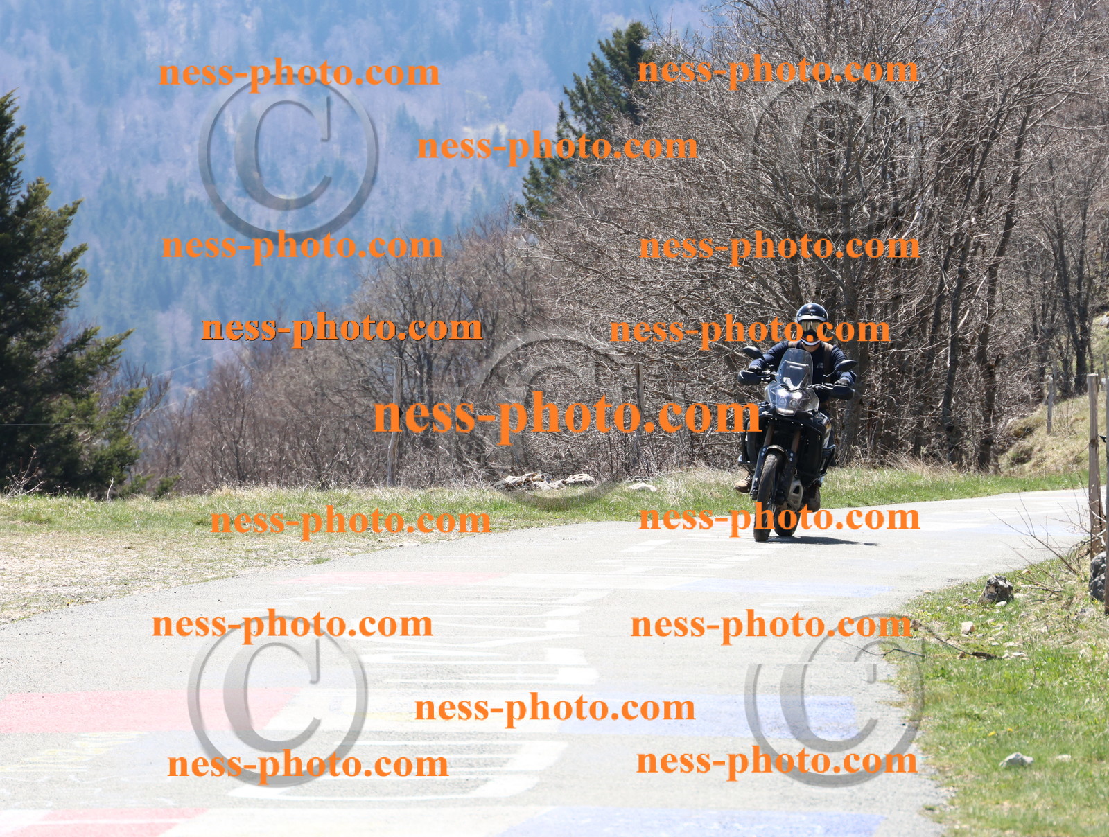 Col  du Grand Colombier (20).JPG