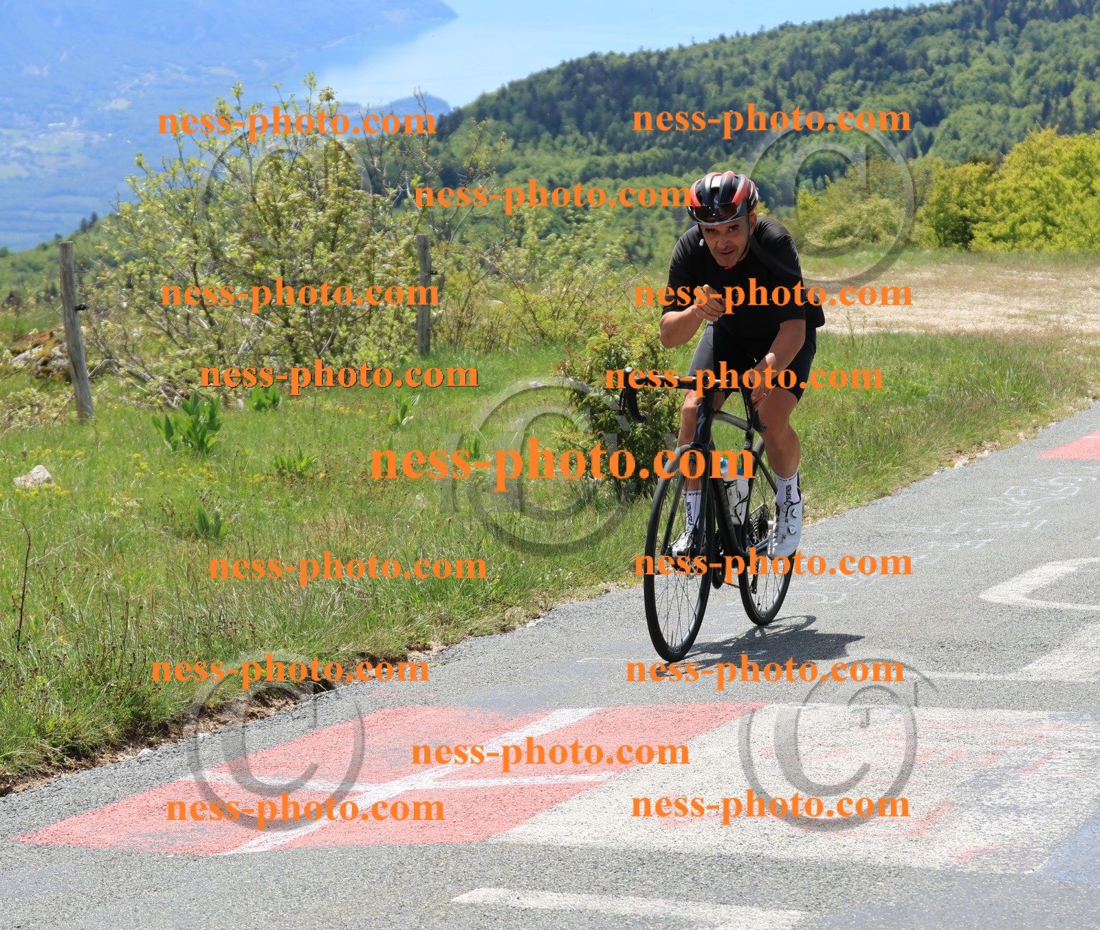 Col du Grand Colombier (304).JPG