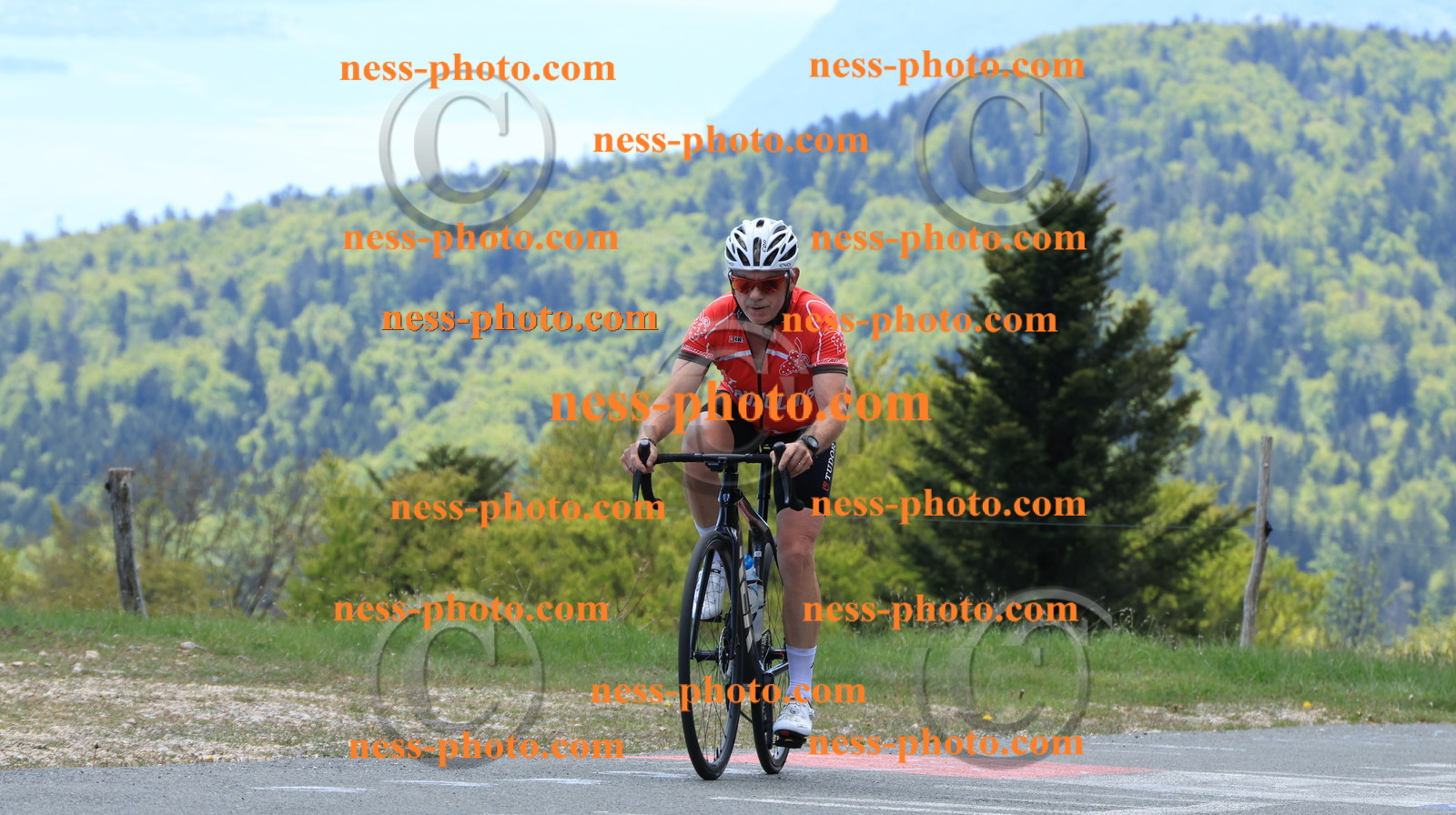 Col du grand Colombier (259).JPG