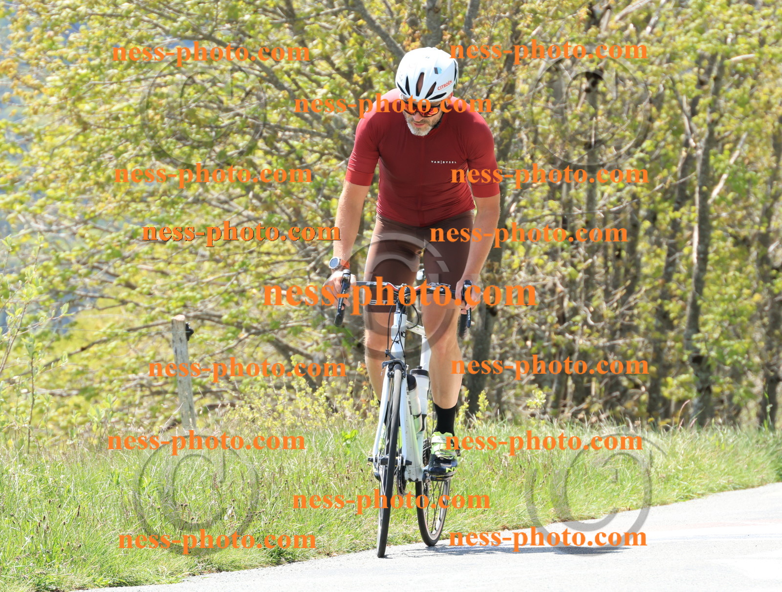 Col du Grand Colombier (211).JPG