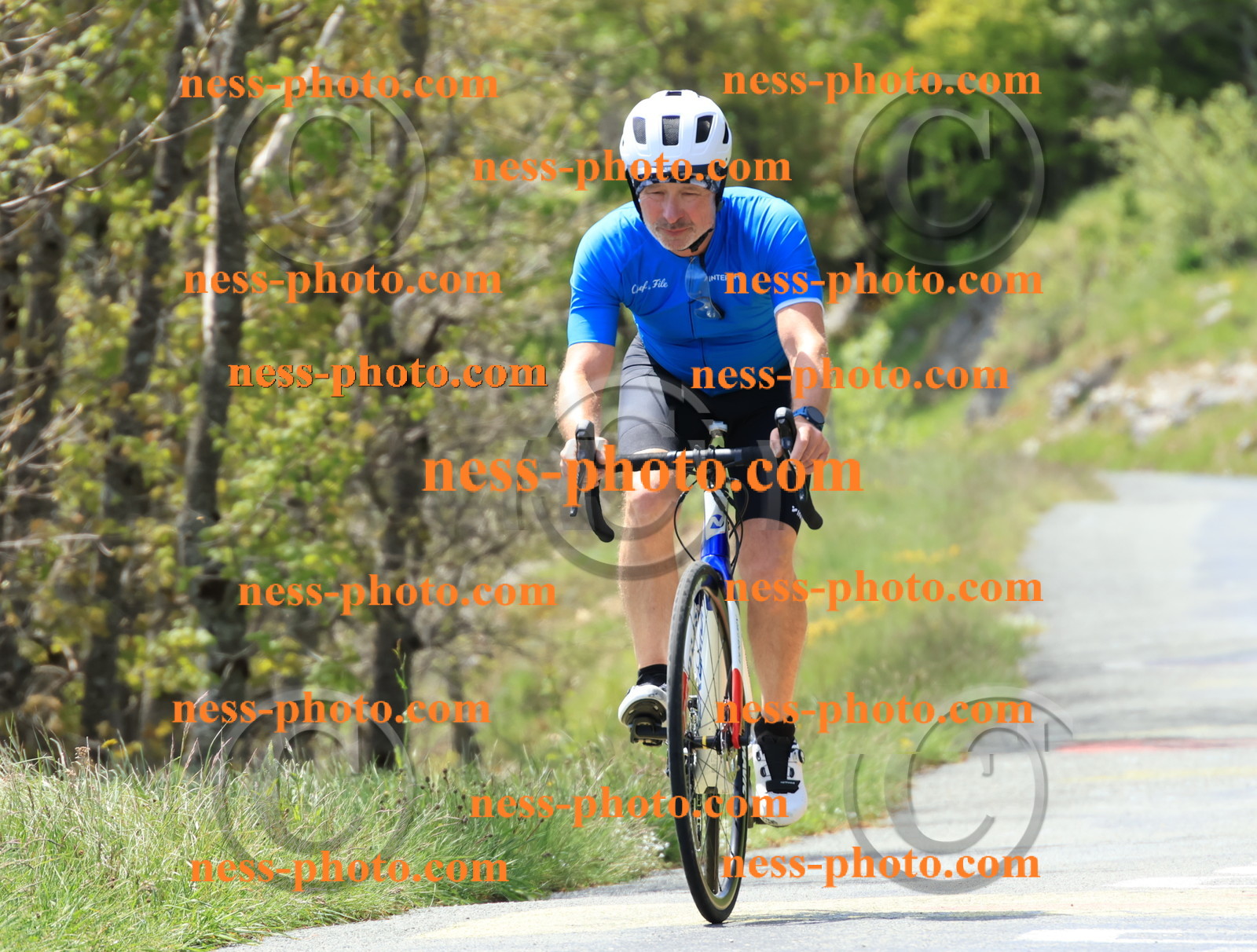 Col du Grand Colombier (191).JPG