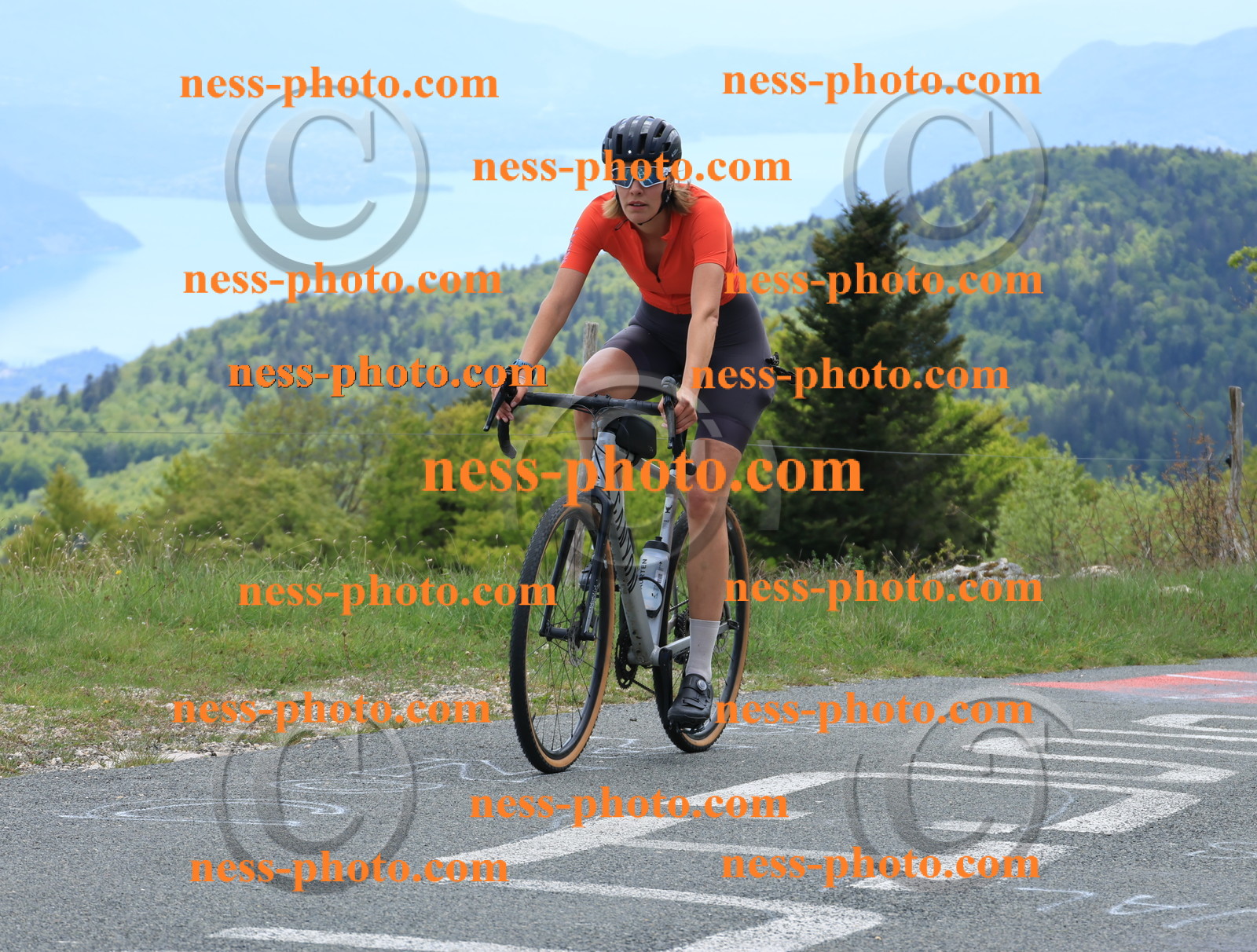 Col du Grand Colombier (393).JPG