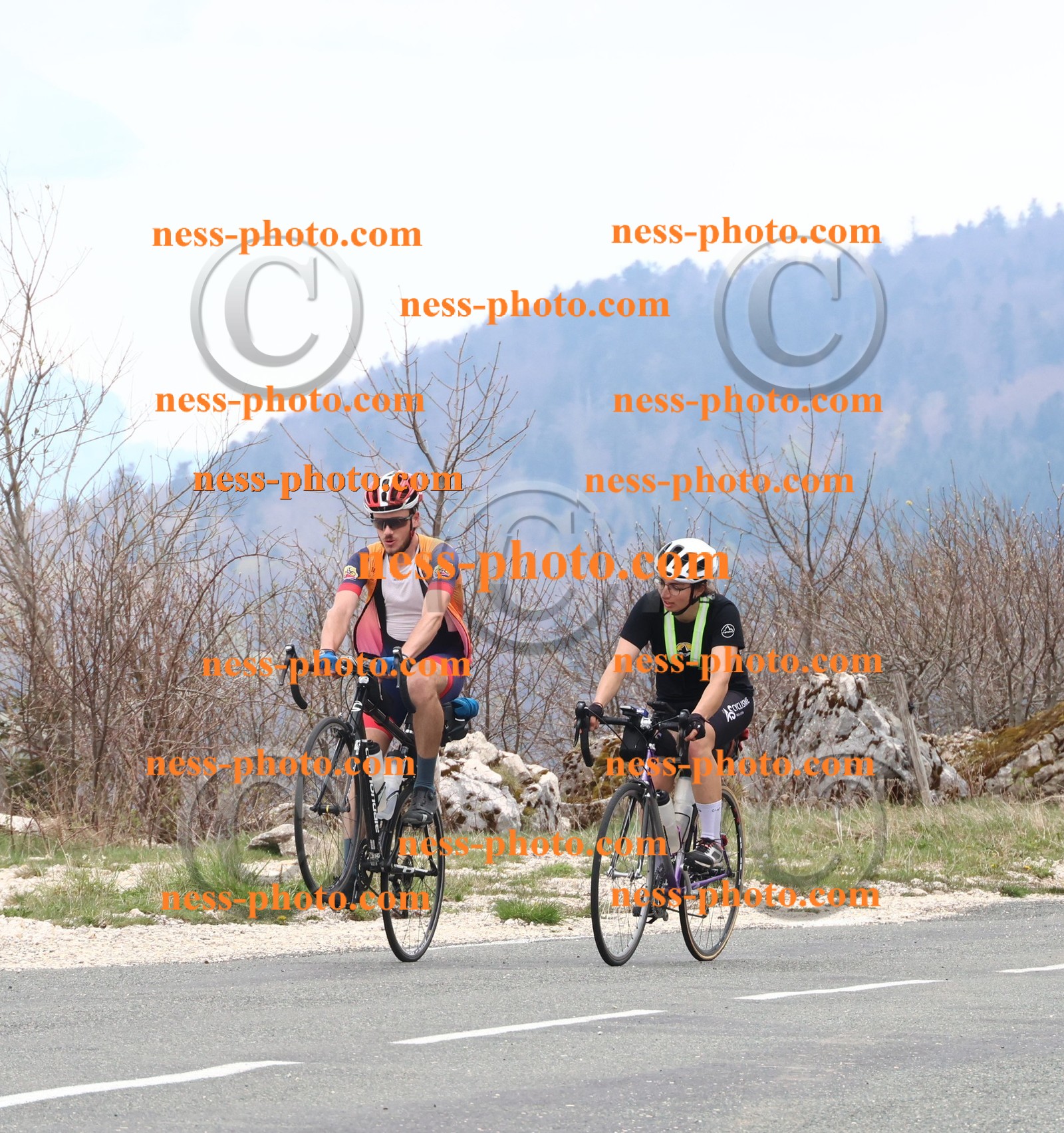 Col du Grand Colombier (112).JPG