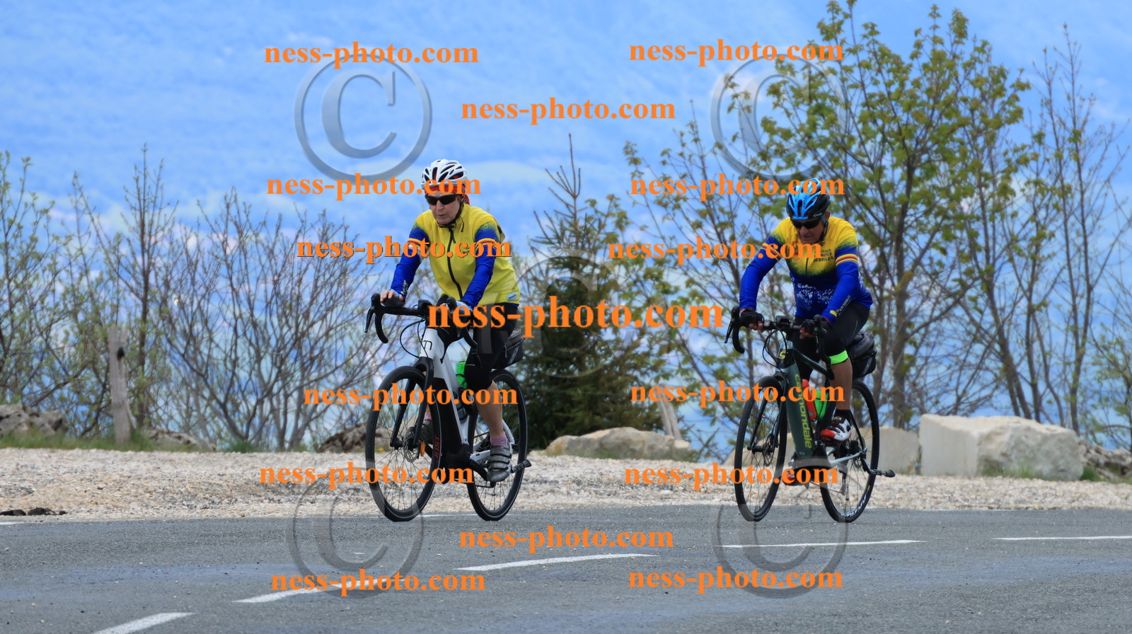 Col du grand Colombier (372).JPG