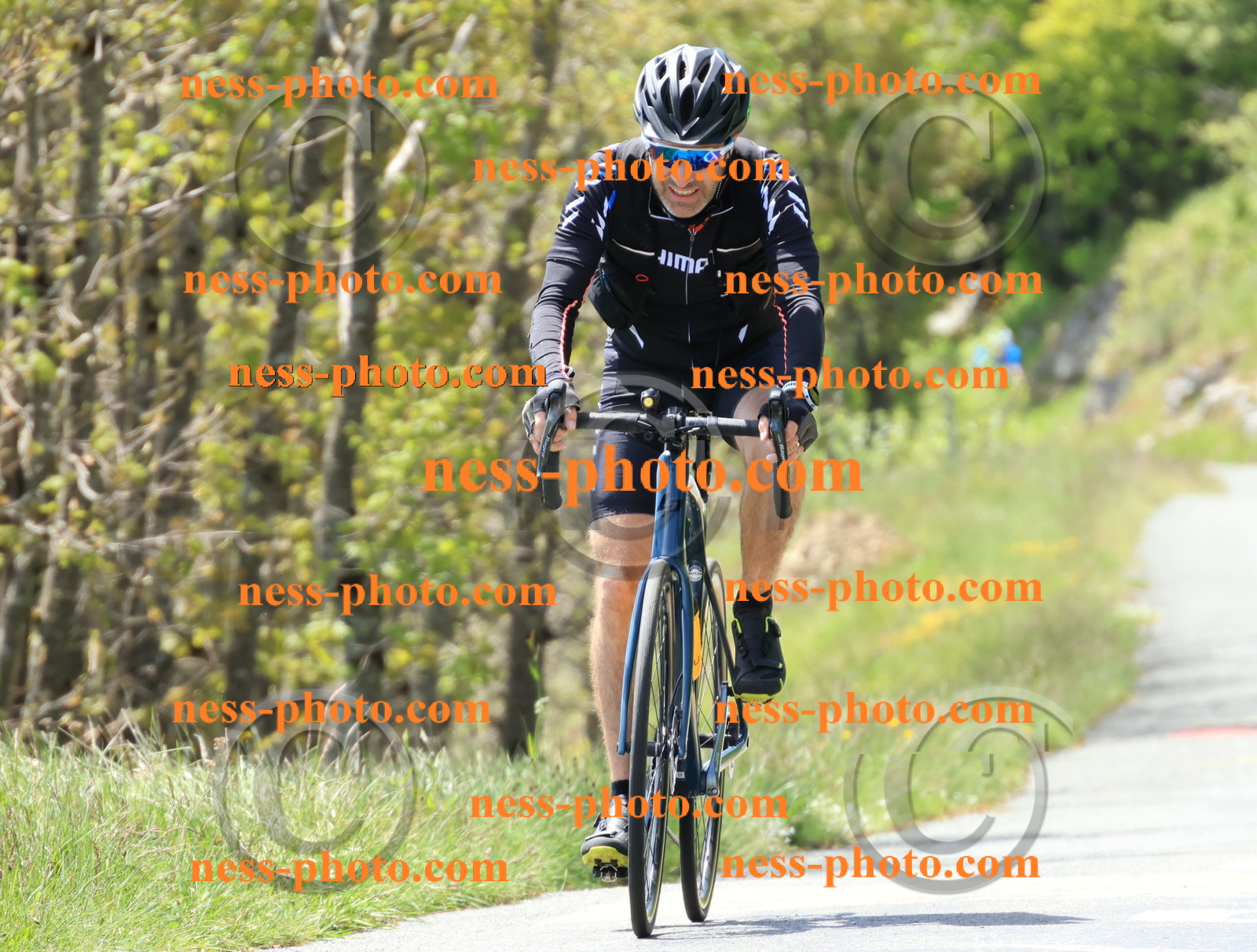 Col du Grand Colombier (182).JPG