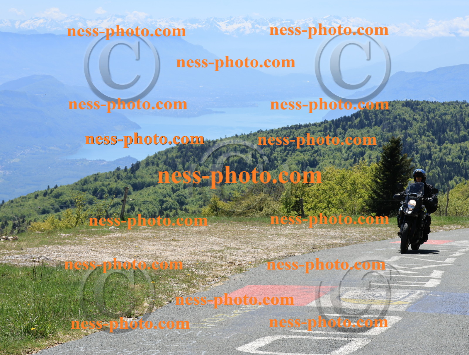 Col du Grand Colombier (181).JPG