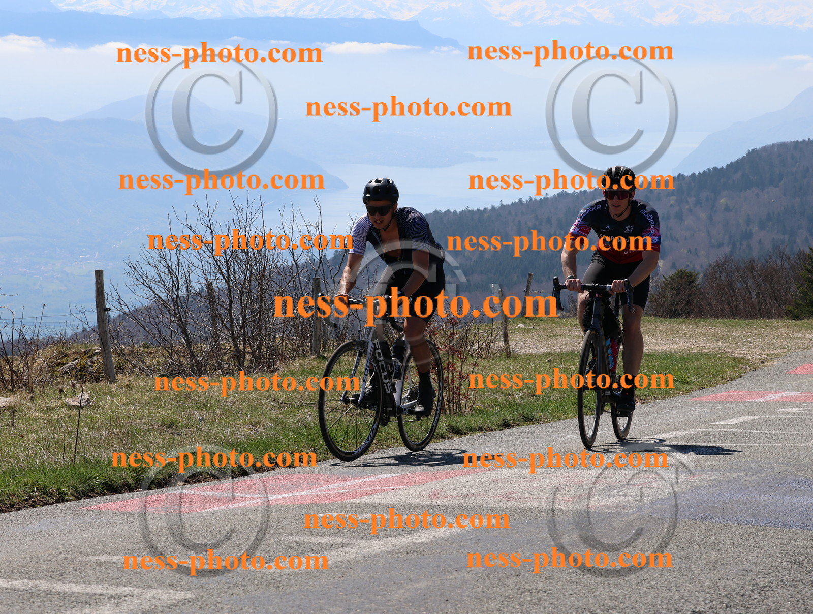 Col du Grand Colombier (84).JPG