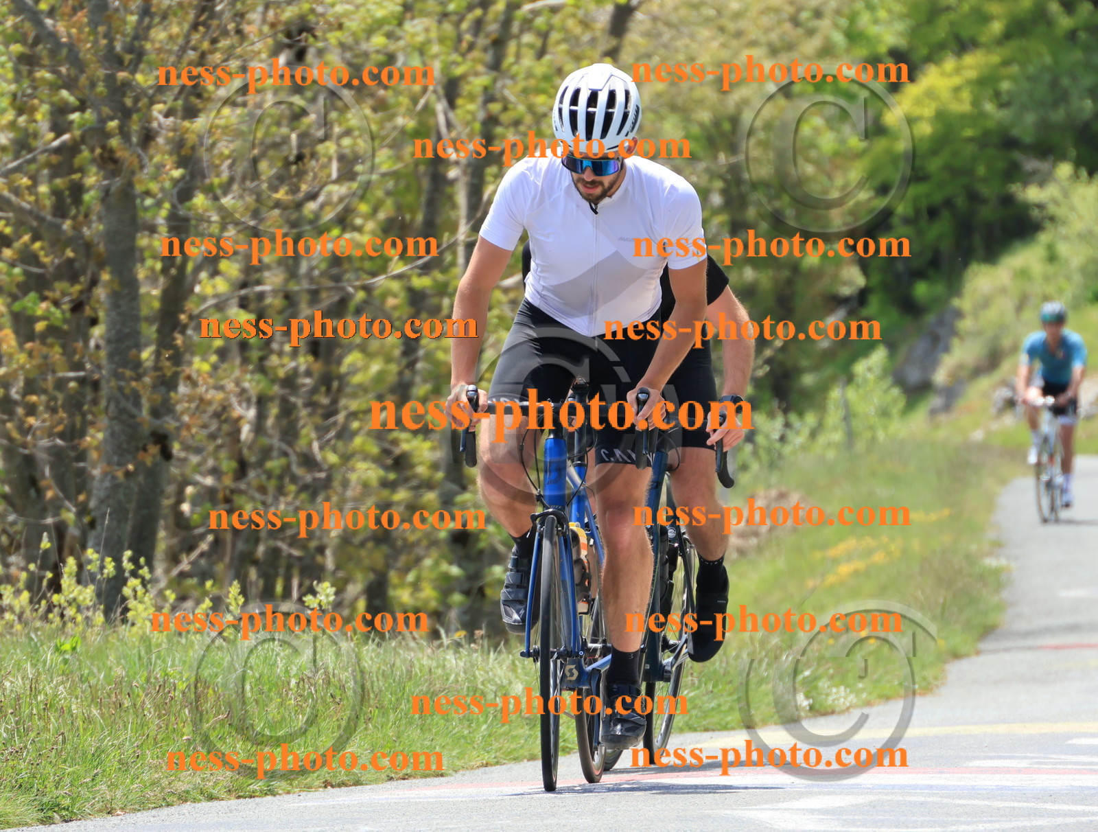 Col du Grand Colombier (343).JPG