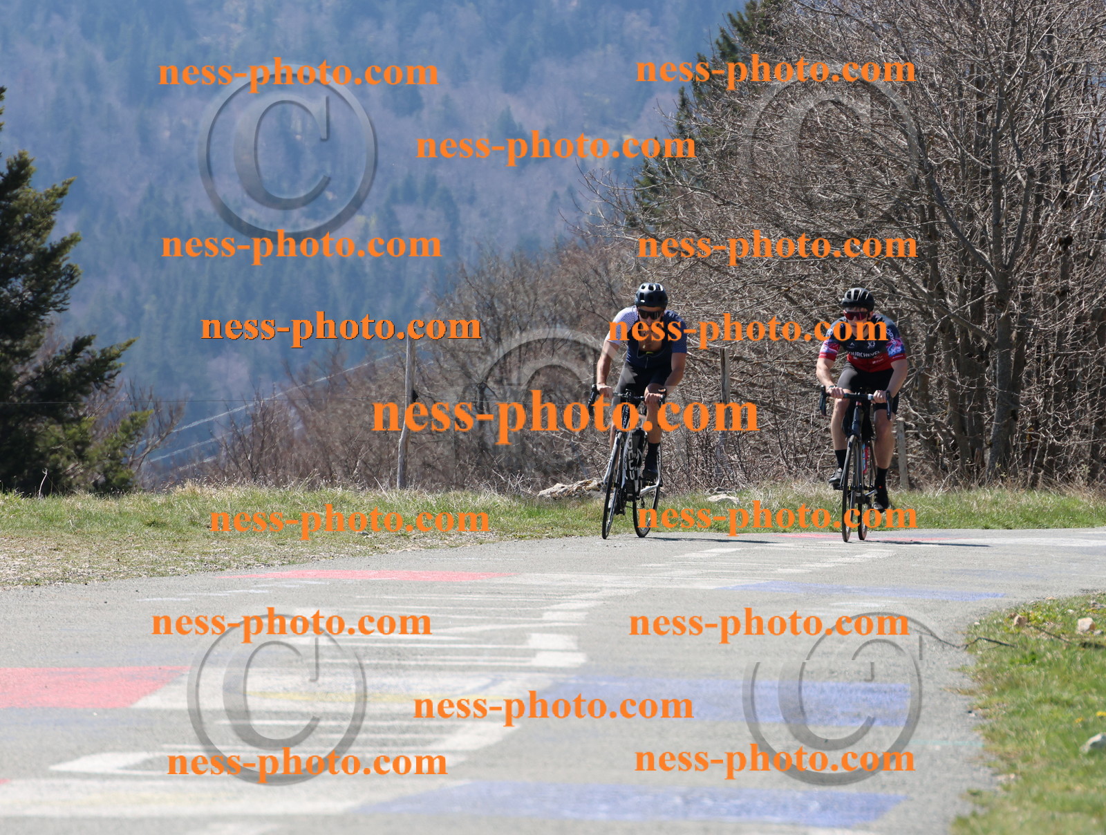 Col du Grand Colombier (76).JPG