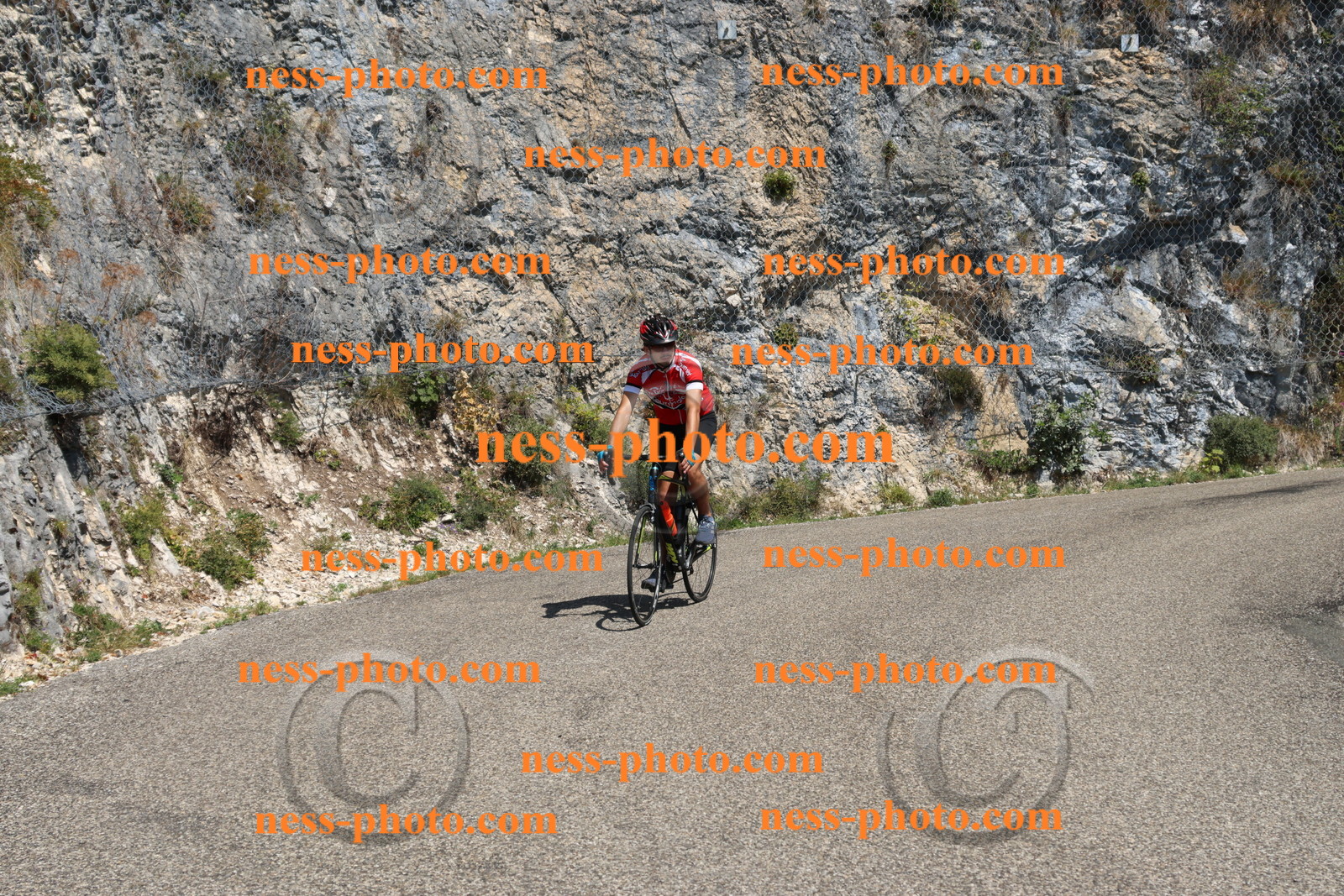 Col du Grand Colombier (406).JPG