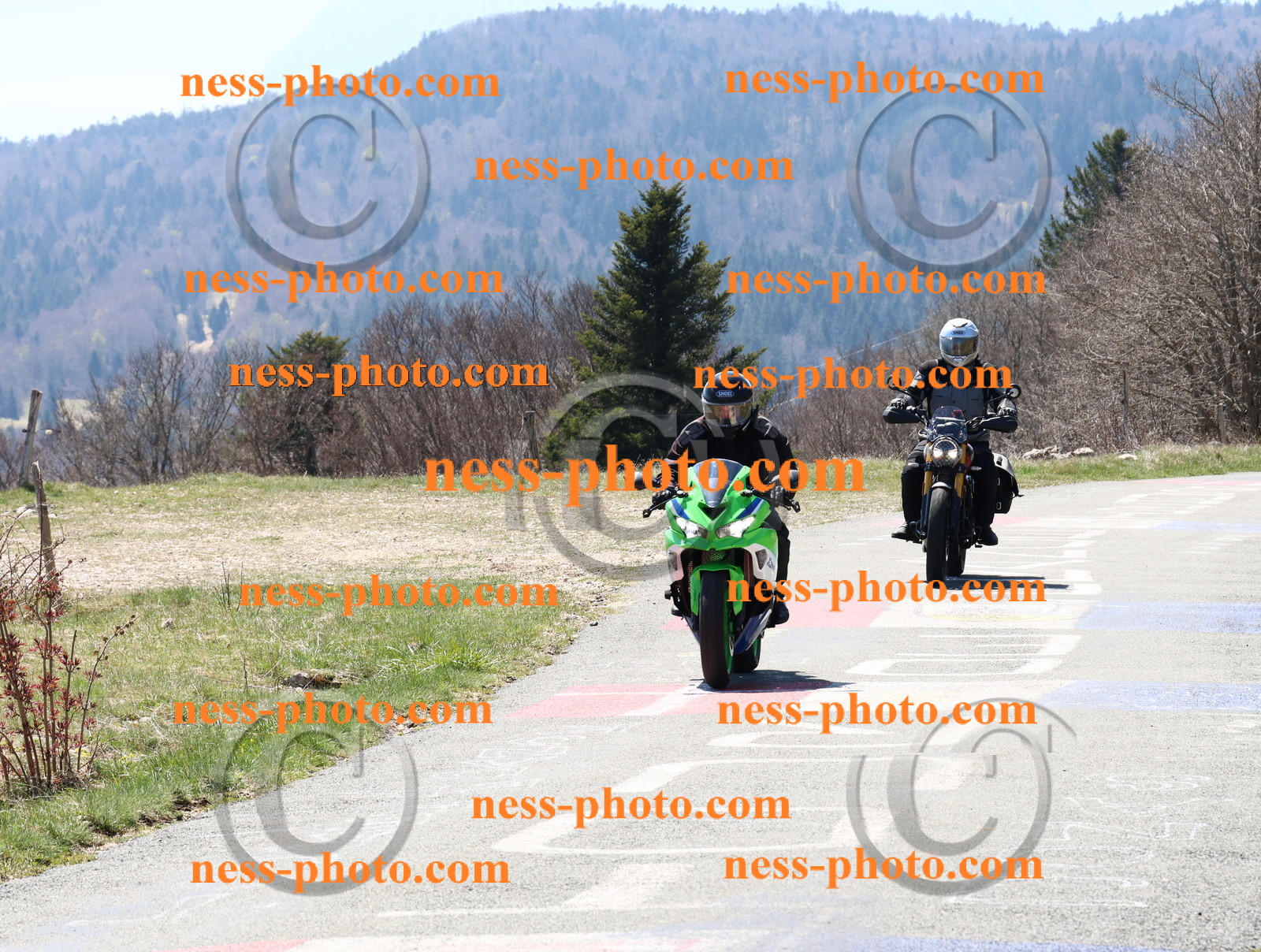 Col  du Grand Colombier (4).JPG