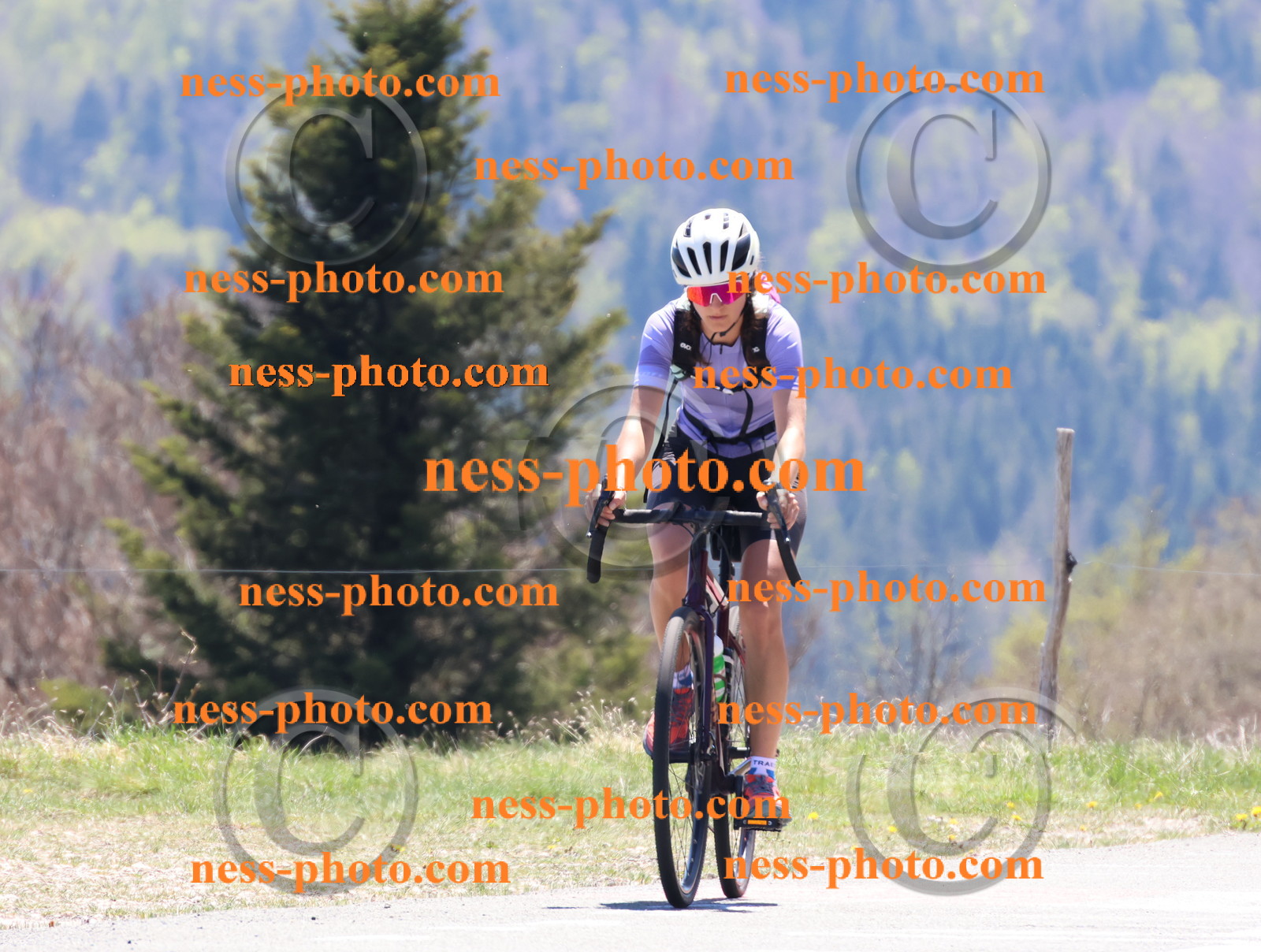 Col du Grand Colombier (572).JPG