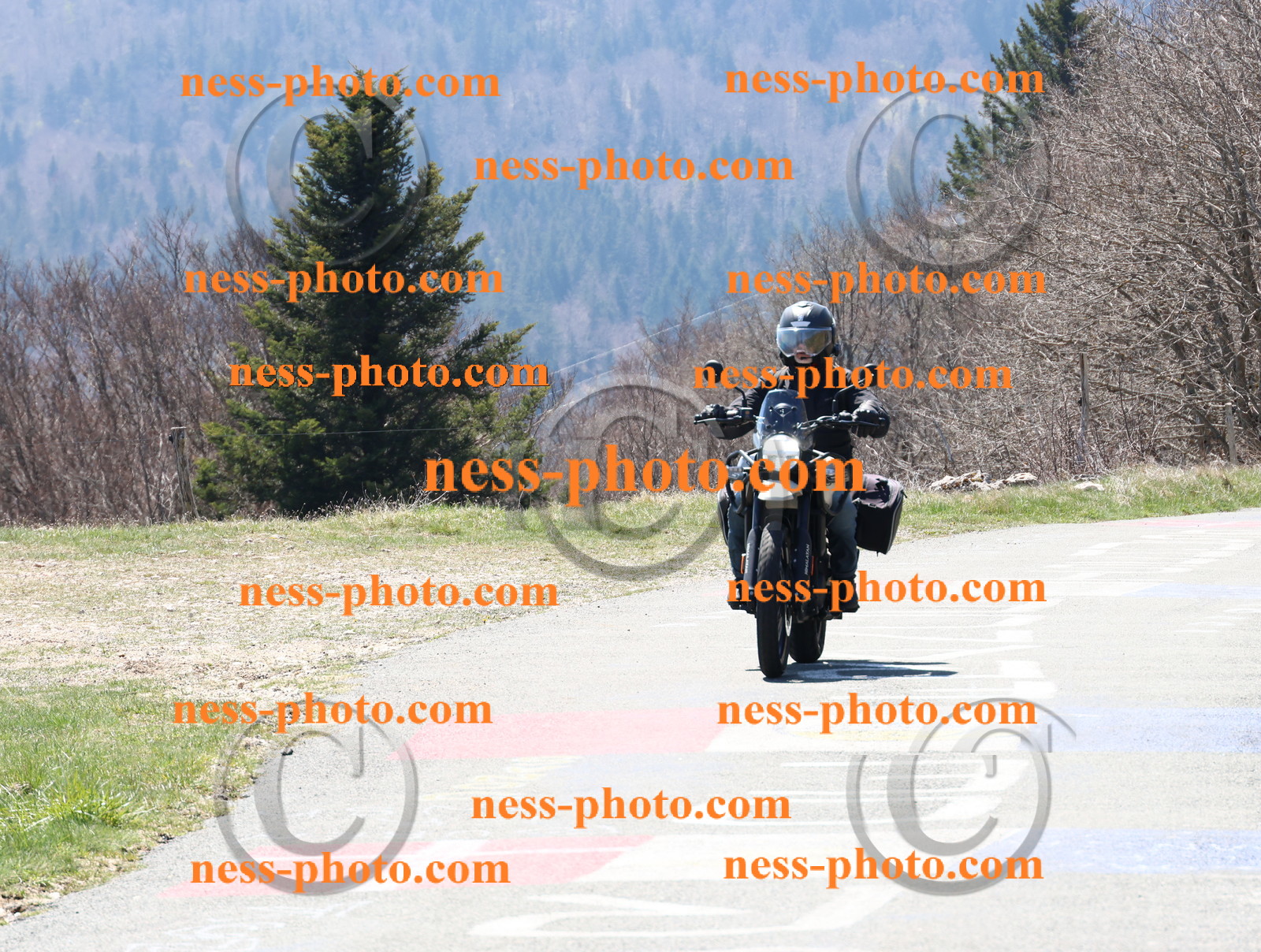 Col  du Grand Colombier (10).JPG