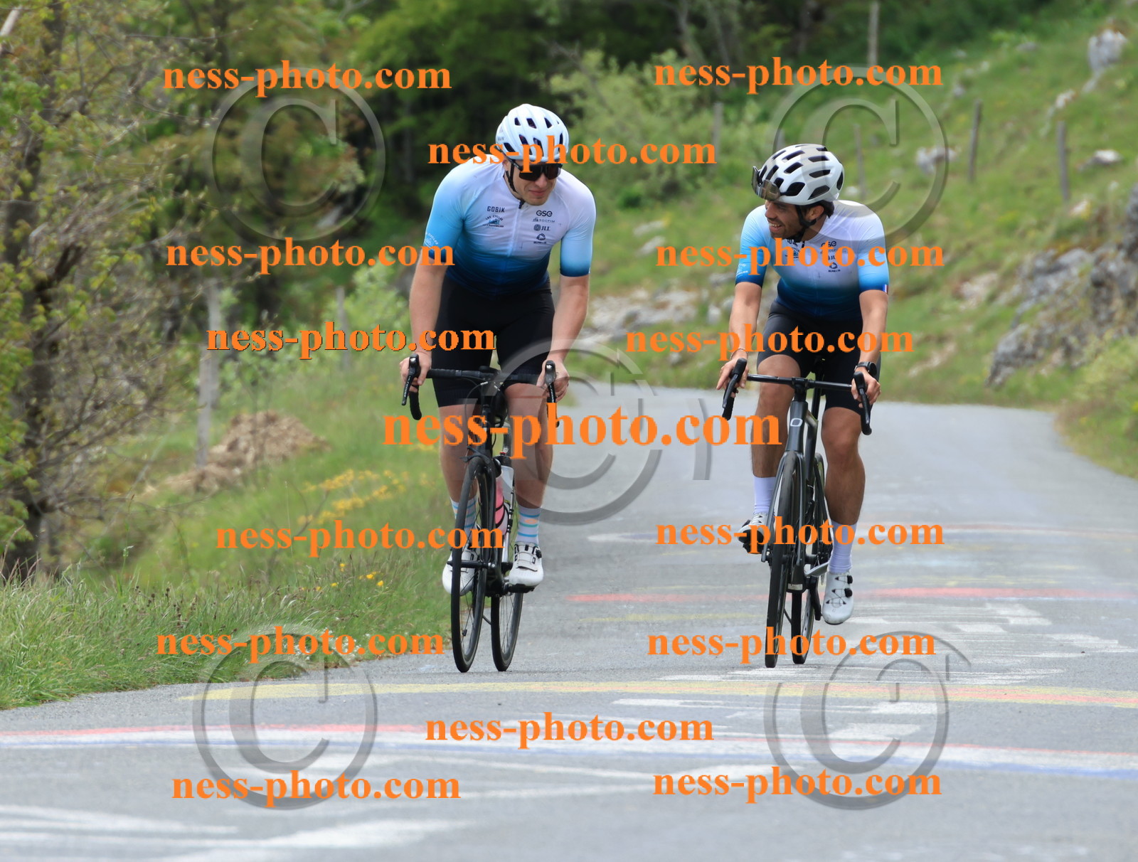 Col du Grand Colombier (466).JPG