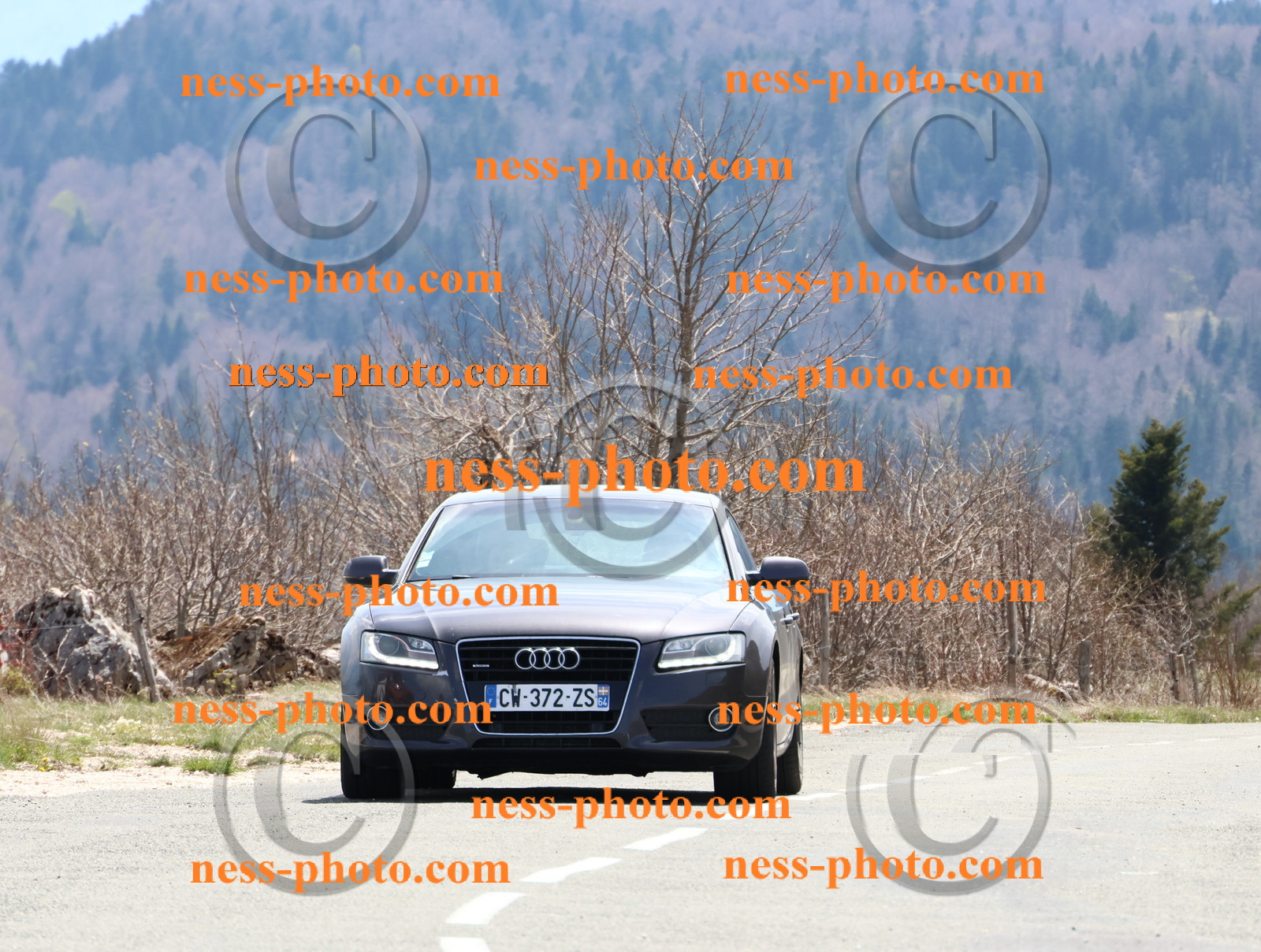 Col du Grand Colombier (48).JPG