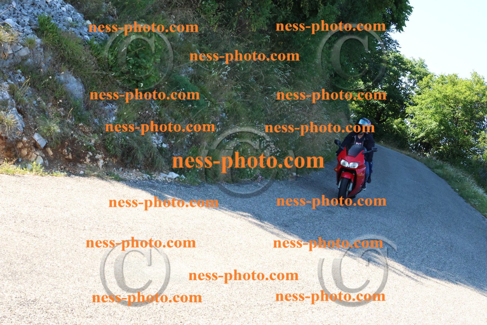 Col du Grand Colombier (304).JPG