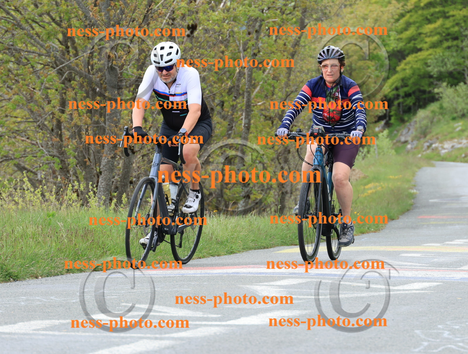 Col du Grand Colombier (569).JPG