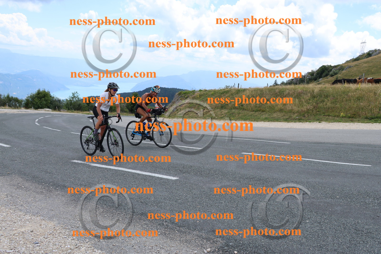 Col du Grand Colombier (253).JPG