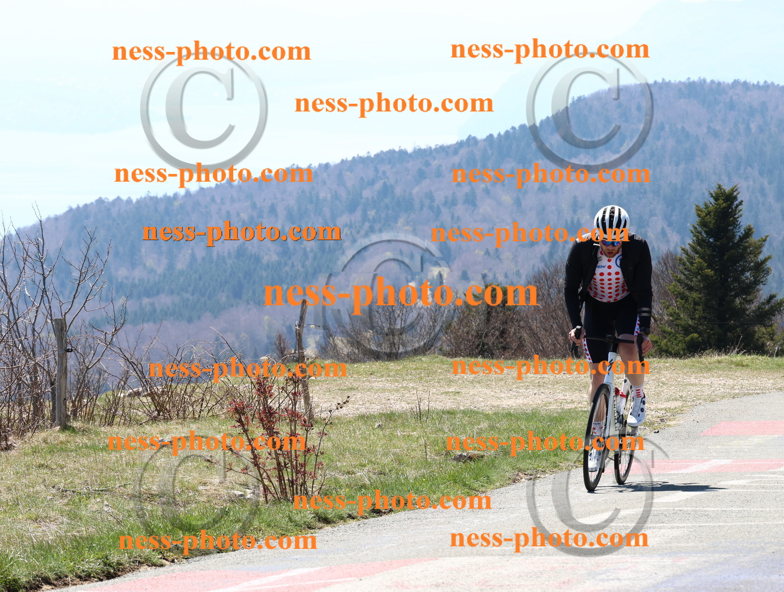 Col du Grand Colombier (120).JPG