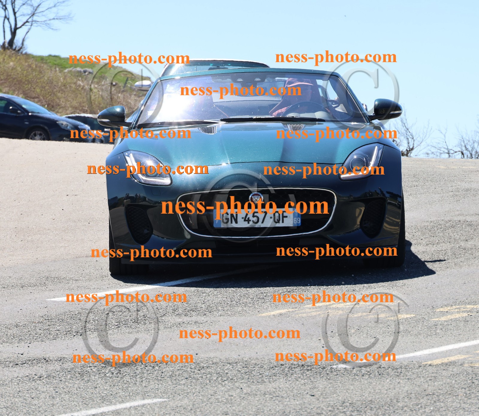 Col du Grand Colombier (39).JPG