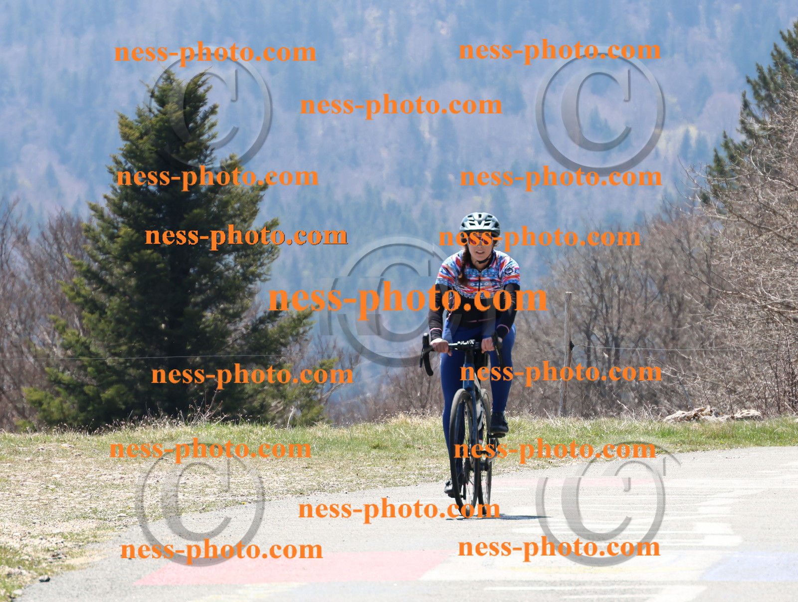 Col du Grand Colombier (240).JPG