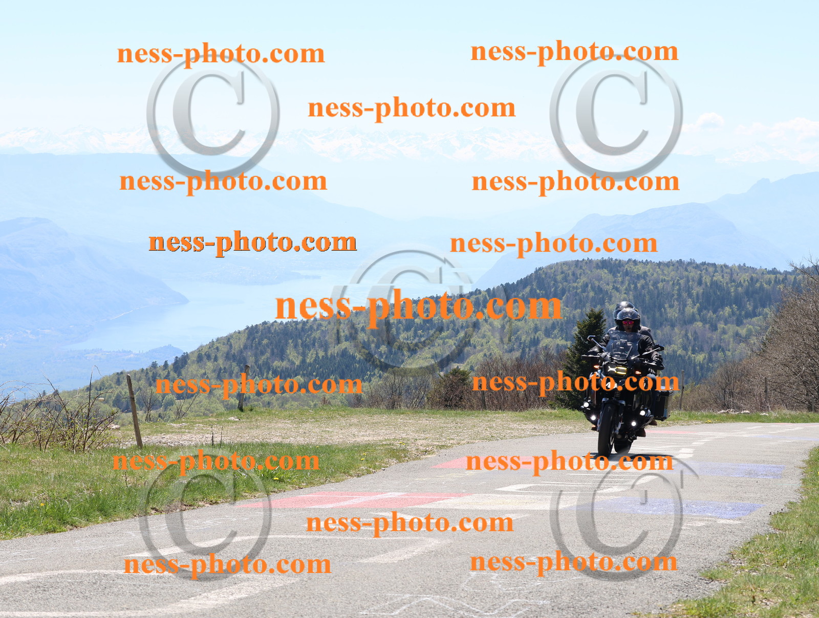 Col du Grand Colombier (68).JPG