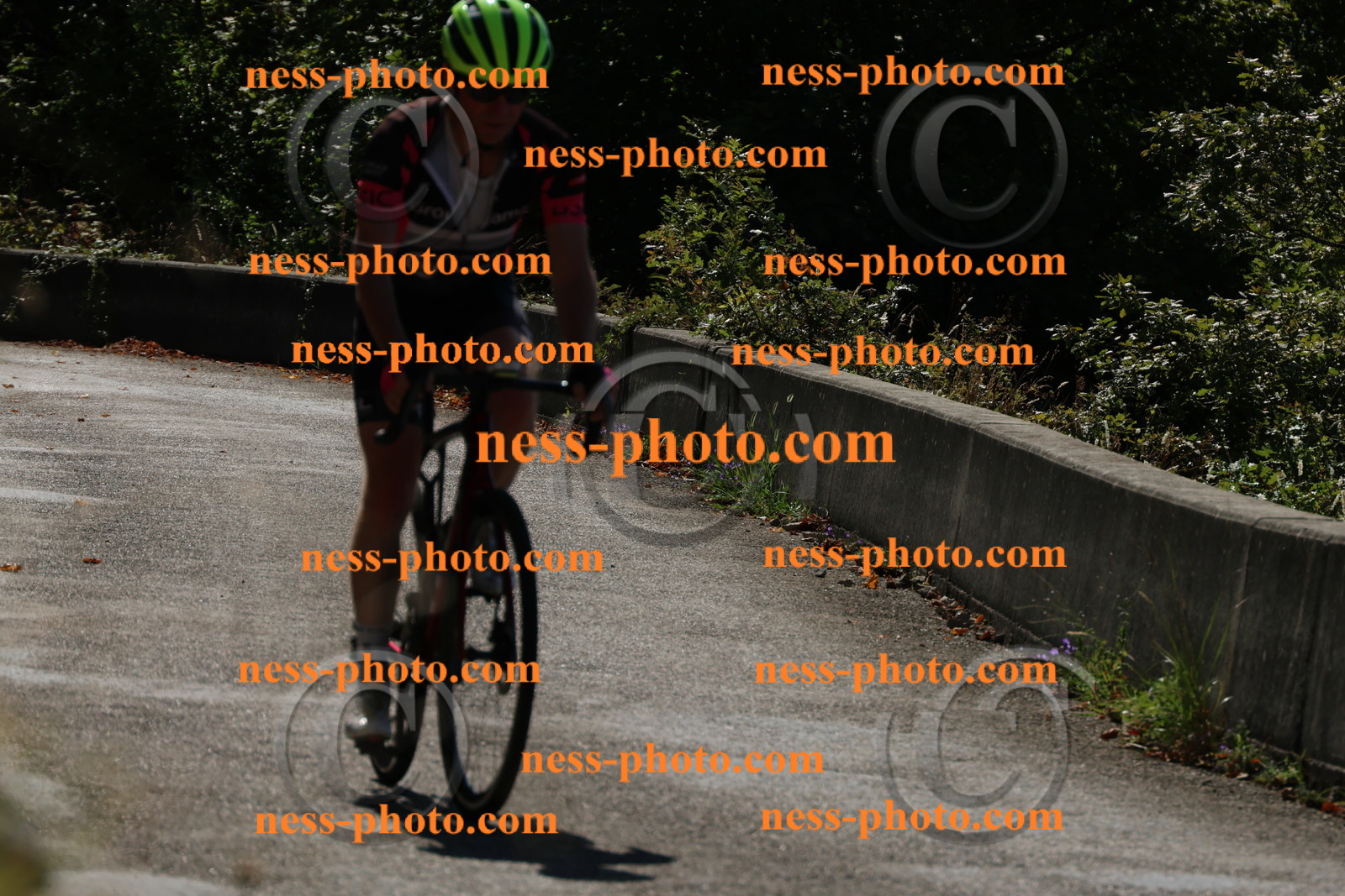 Col du Grand Colombier (31).JPG