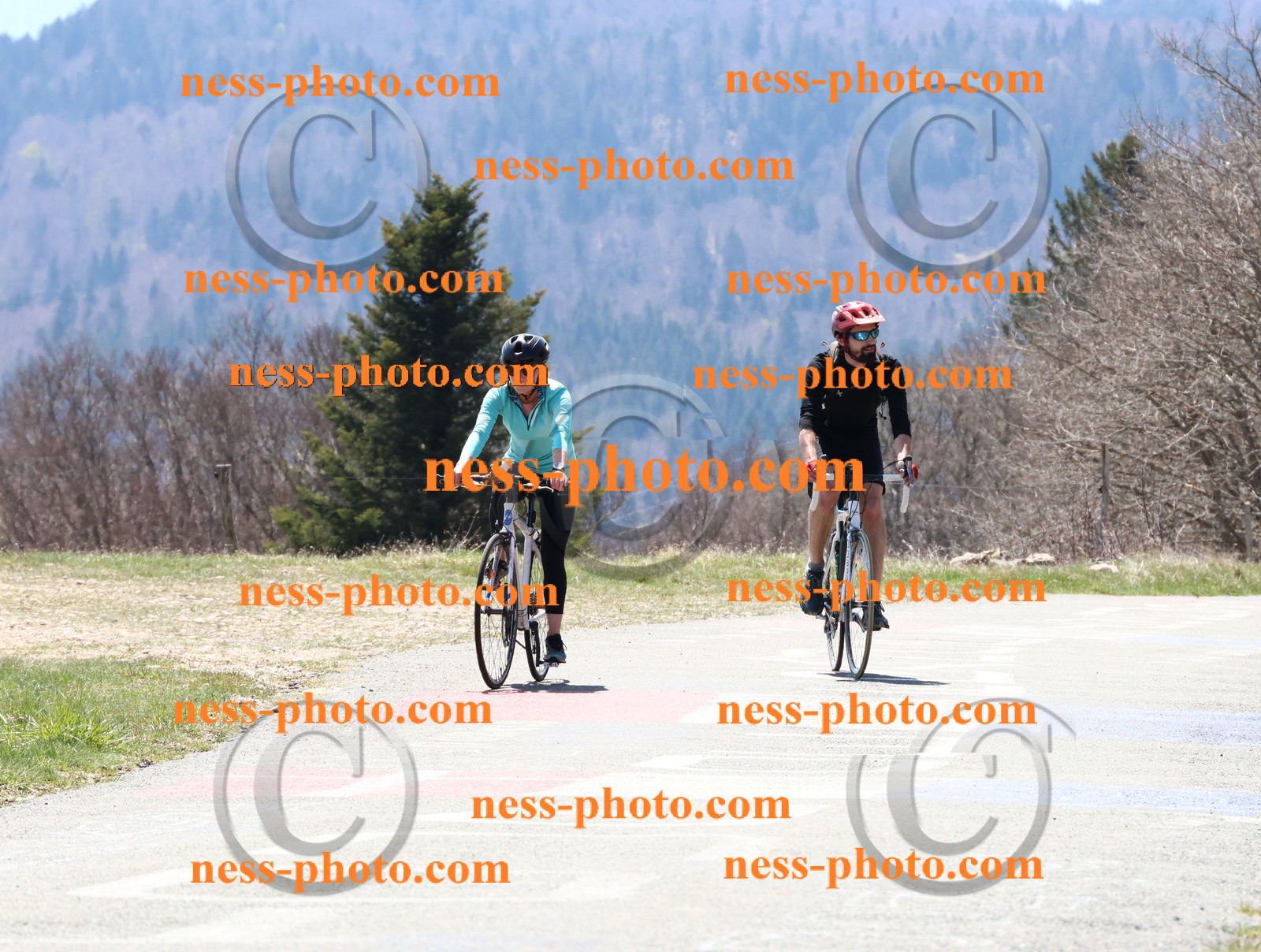 Col du Grand Colombier (227).JPG