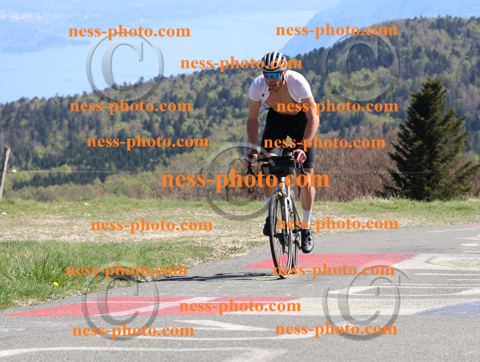 Col du Grand Colombier (1072).JPG
