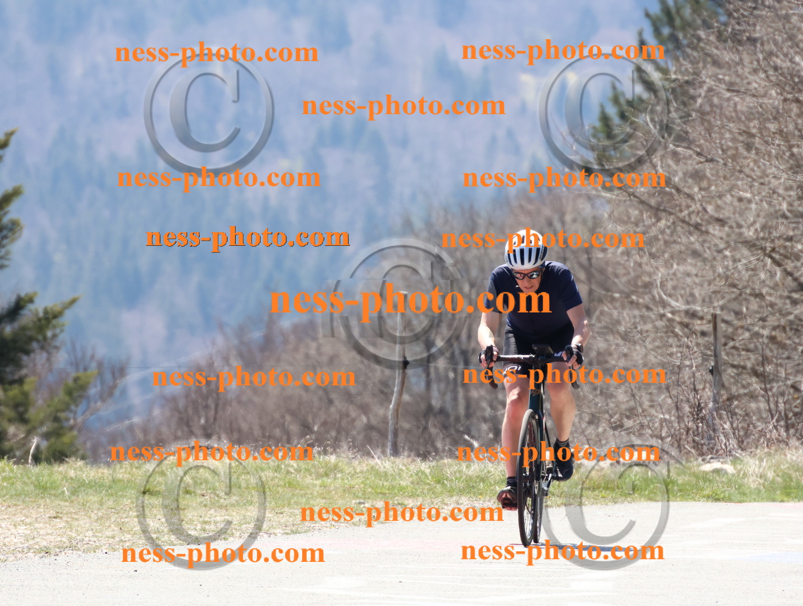 Col du Grand Colombier (182).JPG