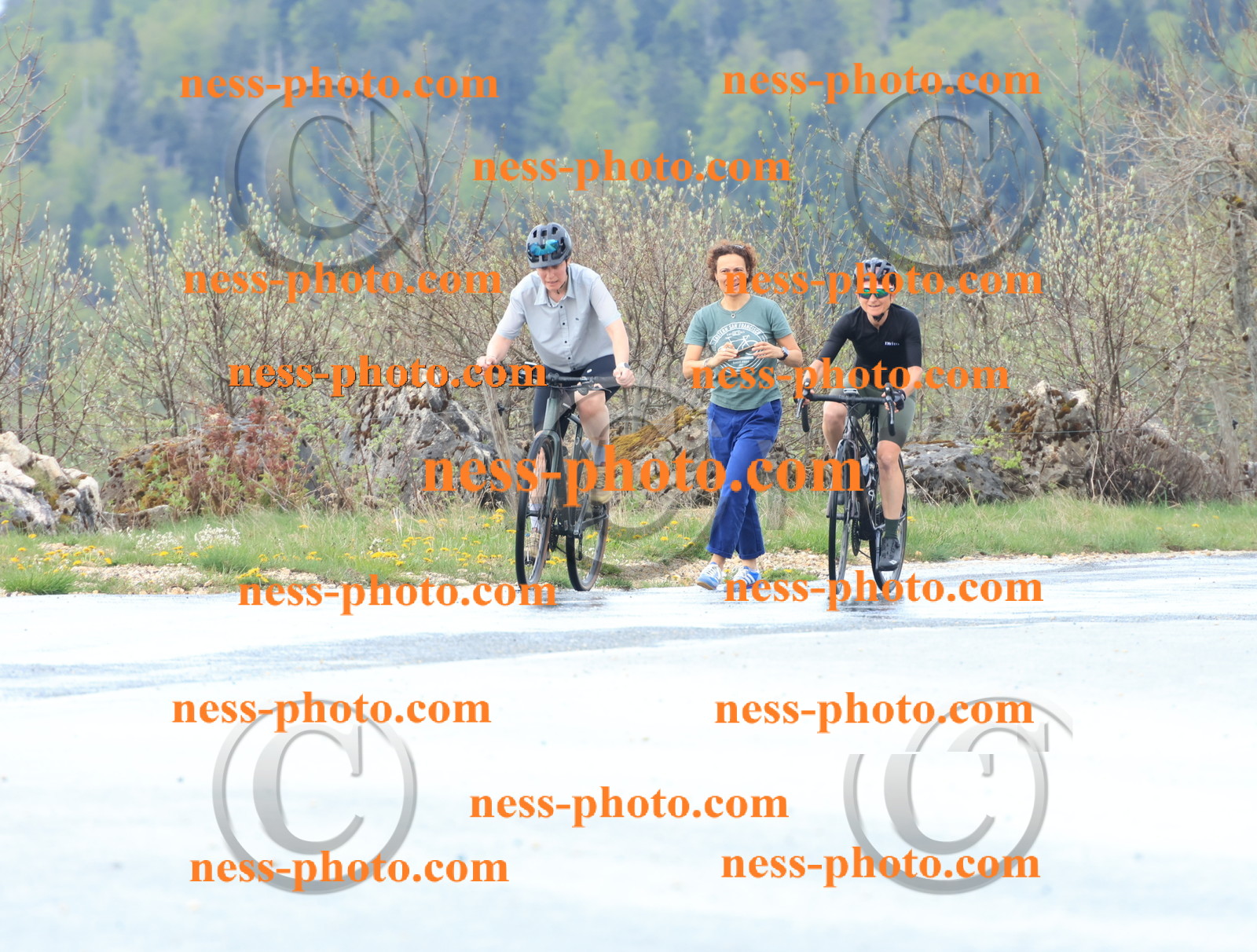 Col du Grand Colombier (224).JPG