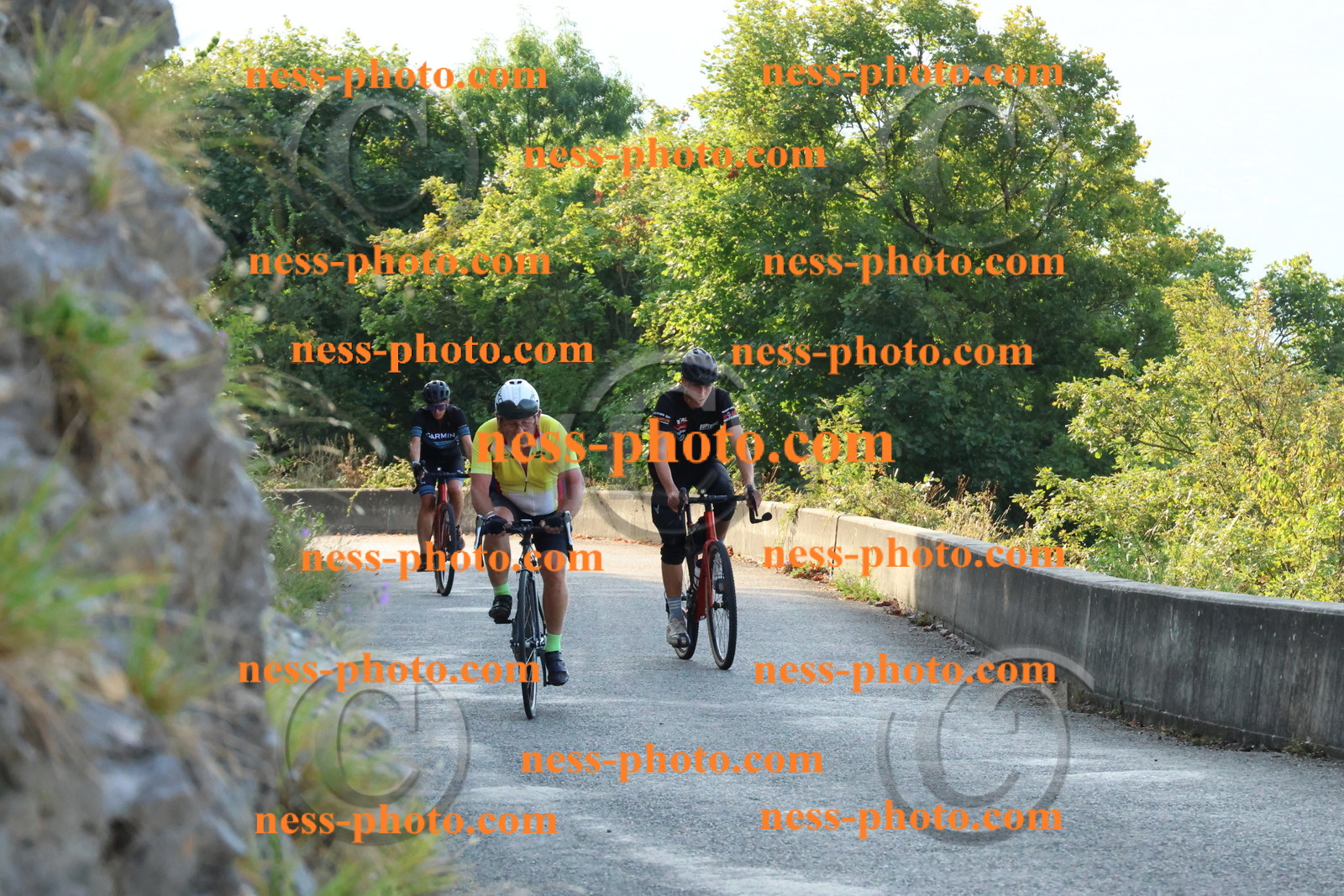 Col du Grand Colombier (99).JPG