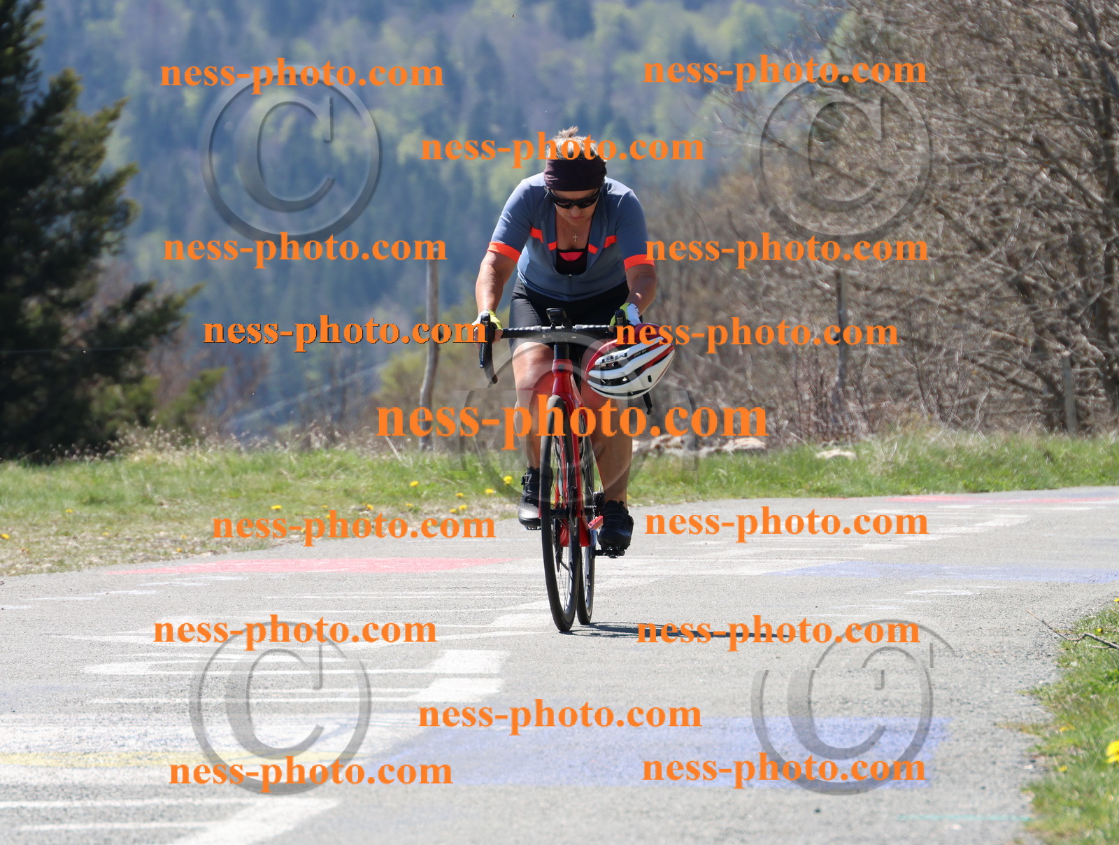 Col du Grand Colombier (260).JPG