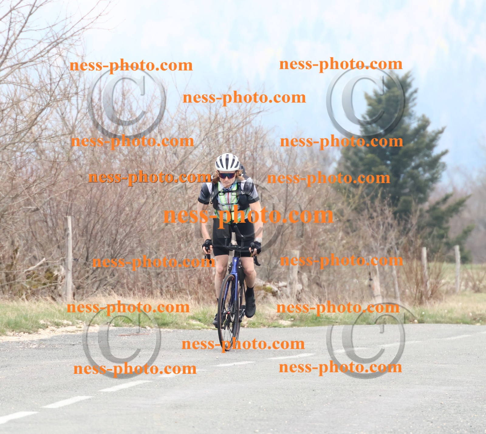 Col du Grand Colombier (87).JPG