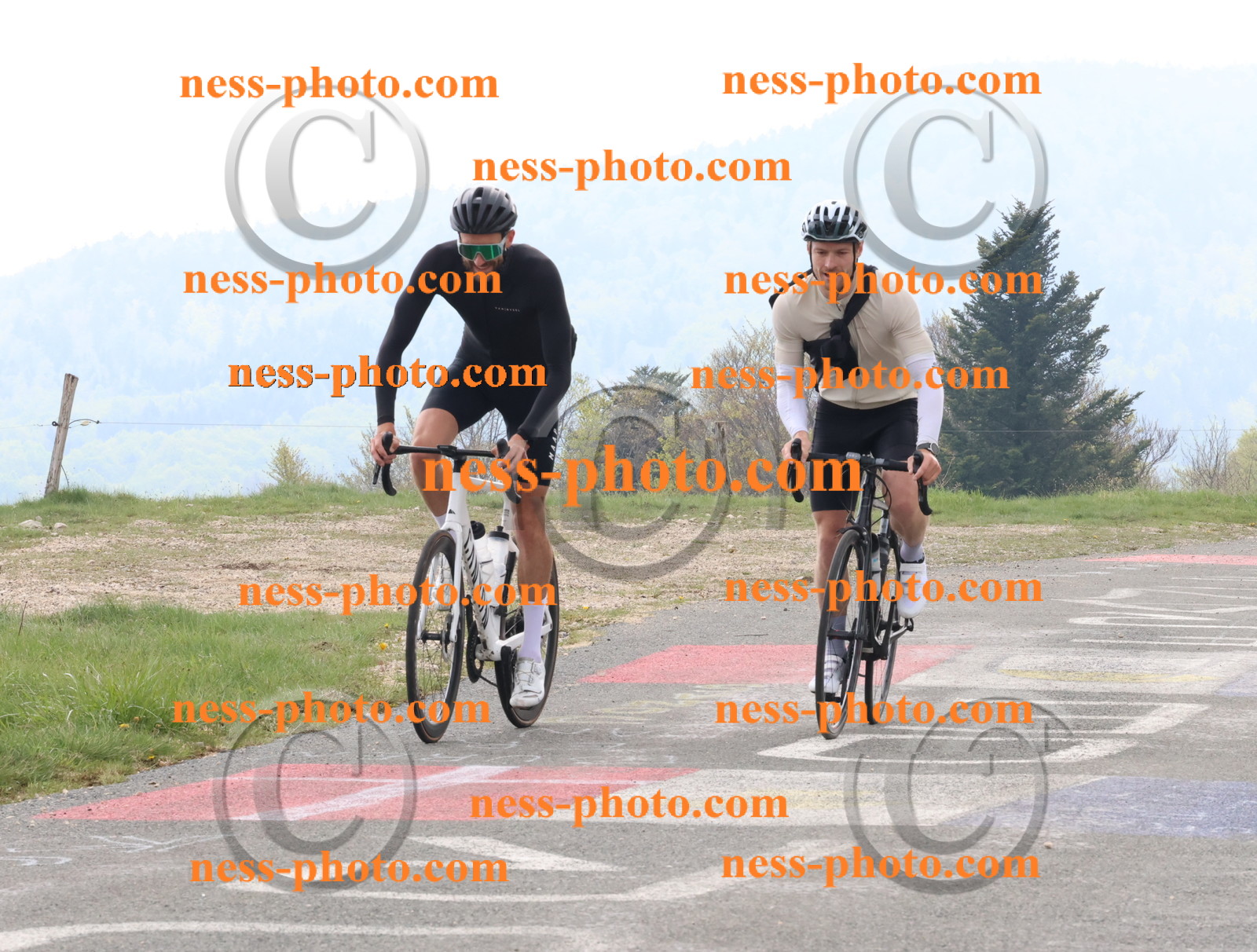 Col du Grand Colombier (140).JPG