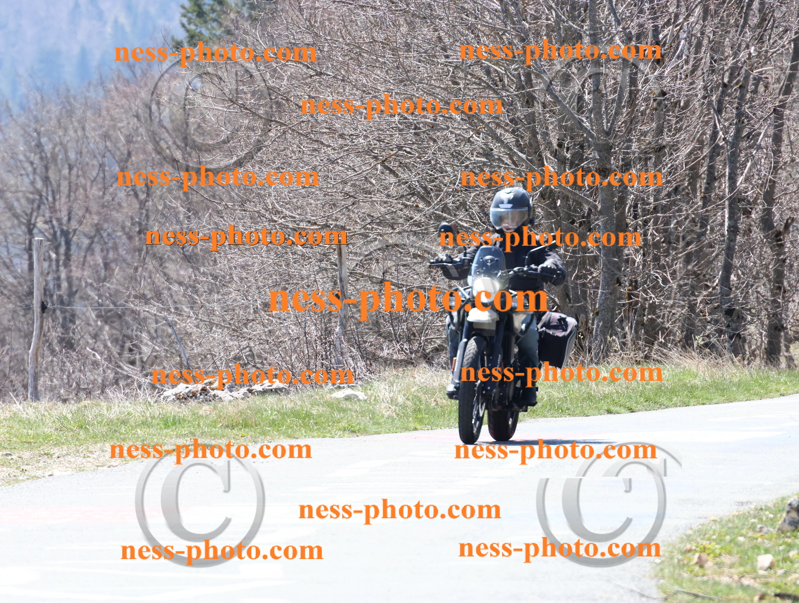 Col  du Grand Colombier (8).JPG