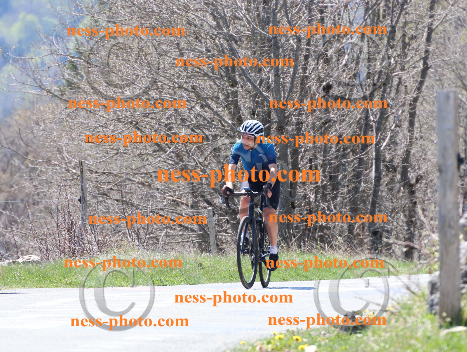 Col du Grand Colombier (335).JPG