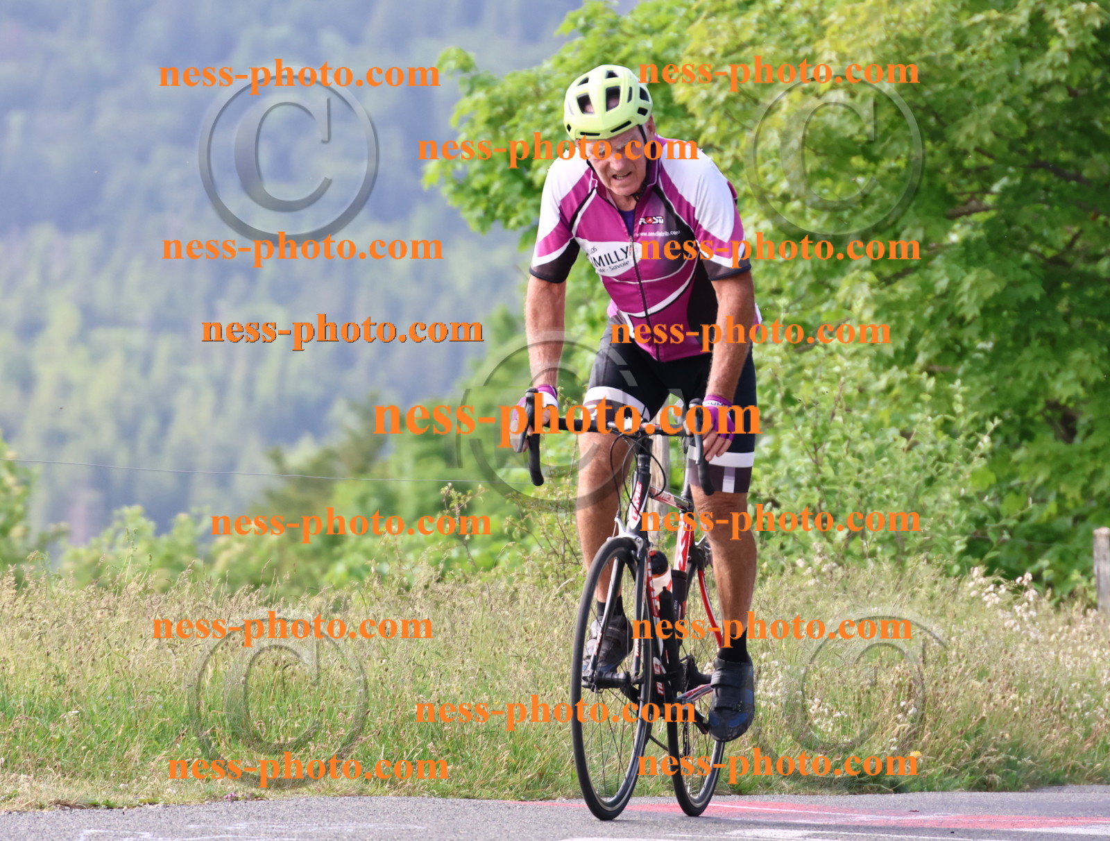 Col du grand Colombier (89).JPG