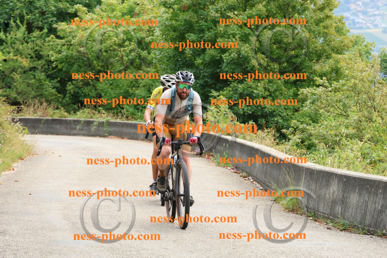 Col du Grand Colombier (121).JPG