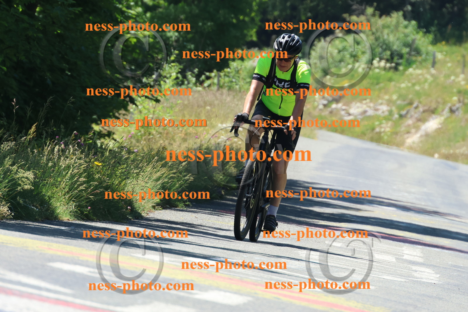 Col du Grand Colombier (60).JPG